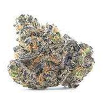 Purple Runtz (Indoor Micro Smalls)